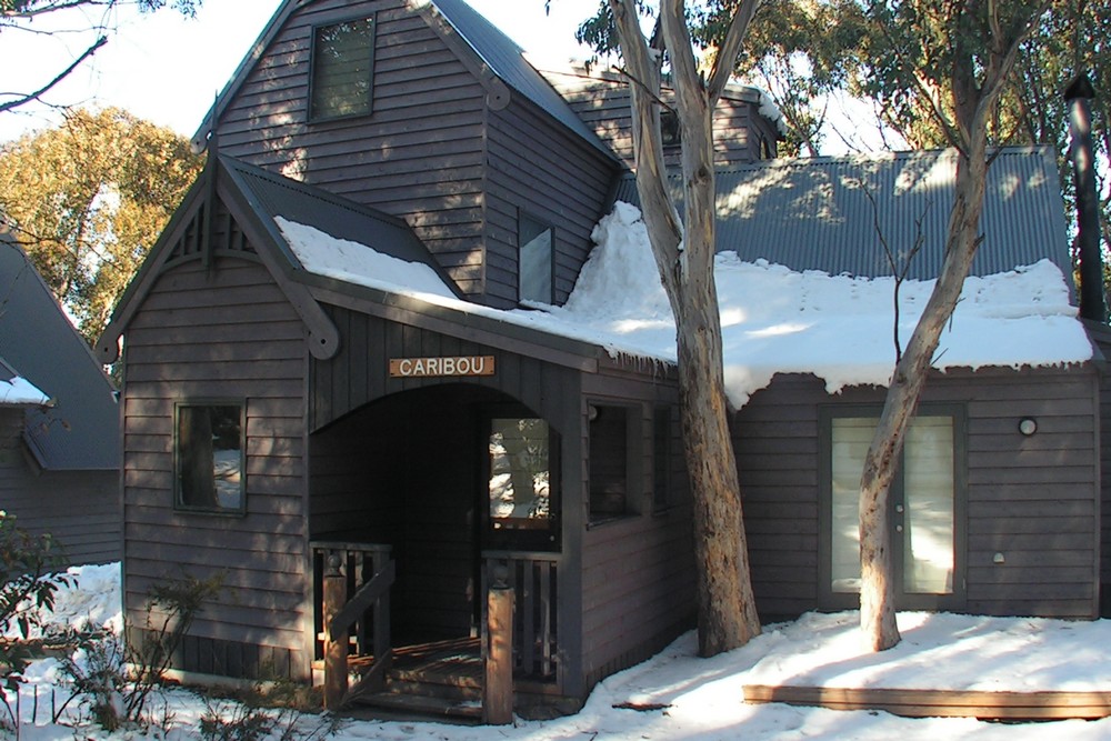 Caribou
